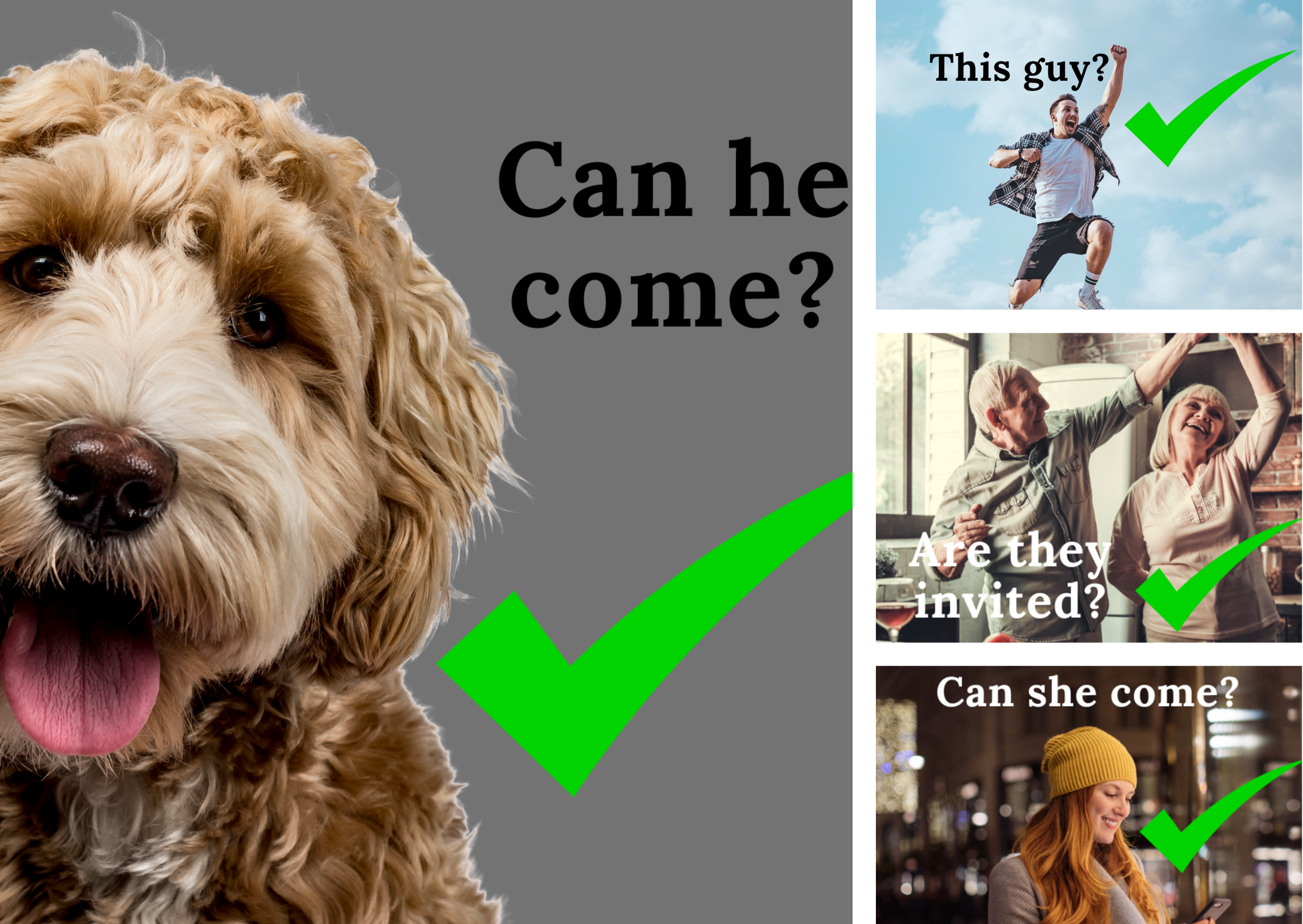 Four pciture template with dogs, grandparents, and young lady askng if they can come. The answer is yes
