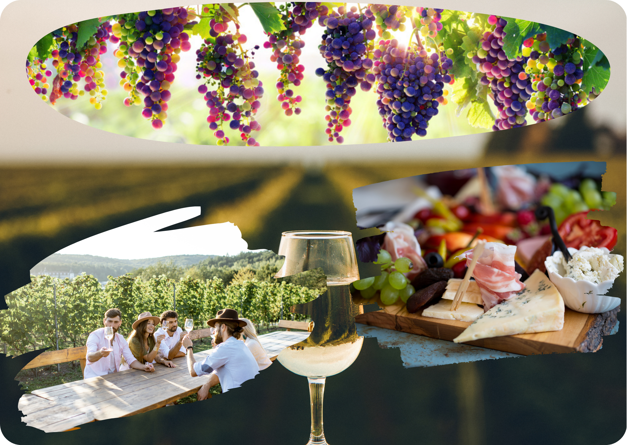 A half full wineglass in the foreground of a vineyard, surrounded by images of grapes, cheese boards, and friends at a tasting