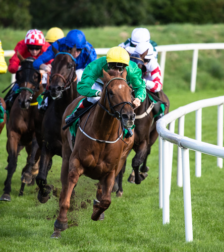 Racehorses and jockeys coming down the straight along the running rail