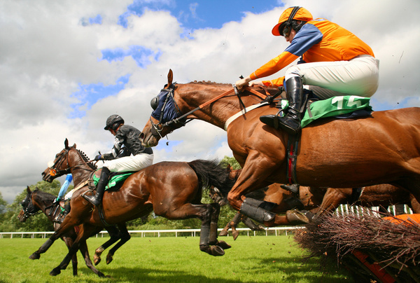 A jockey and his horse in full stride