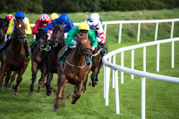 Racehorses rounding the turn at the races