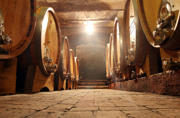 Oak barrels lining a brewery cellar